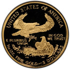 1996 W  5 Gold American Eagle Proof Coin 1 10 Oz In Original Capsule