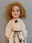 22  Antique Bisque Head Doll Handwerck   139 Germany Leather Body Old Dress