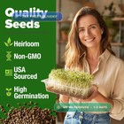 Non-gmo Heirloom Alfalfa Sprouting Seeds - Bulk Organic Vegetable Seeds