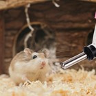 4-pack Small Pet Water Bottles 60ml Hanging Leakproof Hamster Water Feeder Wi   