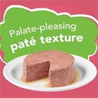 Purina Friskies Wet Cat Food Pate  Salmon Dinner -  24  5 5 Oz  Cans