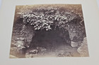 Vintage Original Albumen Print  Robert Turnbull Macpherson - Countryside  154