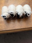 Genuine Wool Sheep From England Lot Of 12