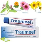 Traumeel S Homeopathic Ointment Pain Relief Cream 100g Usa Stock Pack Of 2