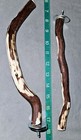 2 New 10 Inch Arizona Manzanita Handmade Bird Perches With Mounting Hardware 
