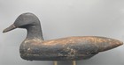 Early Primitive Maine Black Duck Antique Decoy    hollow Carved  old Paint   