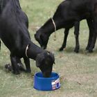 Fi  Heated Electric Dog Cat Pet Farm Water Bowl Outdoor Waterer 1 5 Gal P60 Blue