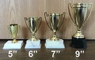 5  Cup Trophy - Free Engraving