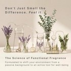 Homedics Serenescent Spa - Air Diffuser Refill 120ml  Aromatherapy