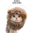 Pets Hat Cat Wig Lion Mane Costume Cosplay Kitten Dog Hat With Ears Fancy Party 