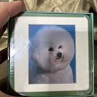 New Set Of 6 Vtg Faithful Friends Made In Uk Bichon Frise Coasters Sealed Nip