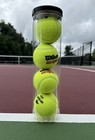 Rare Pro-stock Sealed Official 2024 Us Open Men s Tournament Balls Wilson Tennis