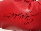 Sugar Ray Leonard Signed Autographed Auto Everlast Boxing Glove Psa dna Coa