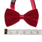 Italo Ferretti Nwt Cummerbund And Bow Tie Set In Red Velvet Adjustable Size