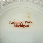 Tashmoo Park Michigan Mi Antique Depression Glass Souvenir Milk Cut Dish Plate