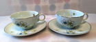 Mid Century Vintage Nobility Permaware Mist Cup   Saucer Set Of 2 Atomic Daisies