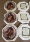 Set 7 Native American Collector Plates Bradford Exchange Soul Mates W  Coas Mint