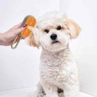 Cat   Dog Steam Brush 3-in-1   Pet Hair Remover  Cleaner   Massager For All Pets