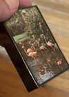 Vintage 1960s Souvenir Of Florida Flamingo Playing Card Deck - Sealed