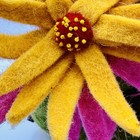Rare Fiona Walker Felted Cactus W  Flowers England 9x6 Beautiful Bright Nursery