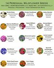 1 Pound Northeastern United States Bulk Wildflower Seed Mix - 2 000 Sq-ft