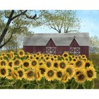 New Billy Jacobs Canvas Print Picture Sunshine 8 x10  Country Rustic Sunflowers
