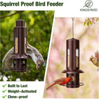 Squirrel Proof Hanging Bird Feeder For Outdoors
