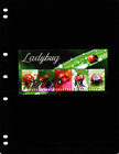  15 00 Scott Value - 2022 Grenada Ladybugs S s Insects Caribbean Cv Mnh Nh Umm
