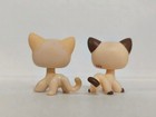 2pcs lot Lps Toy Littlest Pet Shop Yellow Short Hair Cat  733 3573 Animal Figure