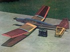 Big Bird Too Sport Low Wing 84  Ws Rc Model Airplane Printed Plans Templates