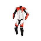 Alpinestars   - Gp Plus V2 1-piece Leather Suit  choose Your Size   Color 