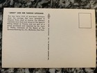 Postcard Genesee Beer Brewing Lipizzan Horse Rochester Ny 60s Advertise Vintage