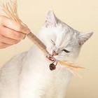 Lovely Caves Premium Cat Chew Stick Toy  Natural Silvervine Sticks Cat Toys