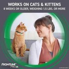 Frontline Plus Flea   Tick Treatment For Cats   Kittens 8 Weeks   6 Doses New