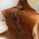 Red Deer Hide Rug Deer Skin Rug Deer Taxidermy Deer Decor Animals Mat 2 3x1 8 Ft