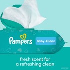 Pampers Baby Clean Fresh Scented Baby Wipes