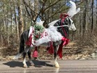 Breyer Christmas Holiday Horse Arctic Grandeur