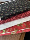 Snow Globe  Village Quilt Appliqu   Kit 