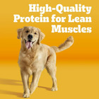   2 Pack   Pedigree High Protein Adult Dry Dog Food  Beef And Lamb Flavor  30 Lb