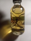 Plantain Healing Oil