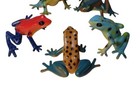 Vintage Pine Tree Barrens Frog Rubber Pencil Toppers Lot Of 5 Colorful 