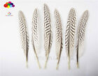 Pretty Premium 10-100pcs Natural Pheasant Tail Feathers 20-25cm 8-10inch