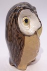 Nqp   2022 Stuart Bass Pie Bird Vent   Sleepy Eye Owl - England