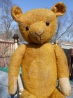 Antique Mohair  Teddy Bear - 17   Squeaker  Germany  Shoe Button Eyes