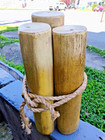  Denny Pro Studio Pier Beach Piling Beach Prop
