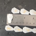 25pc Clear Quartz Coffin Elder Futhark Rune Set Gold Engraved Crystal Divination