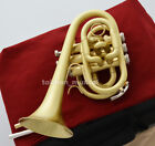 Upturned Bell Pocket Trumpet Dizzy Style Horn 2 Mouthpiece