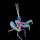 Pre-assembled Praying Mantis Oaxacan Wood Carving Alebrije  Mexican Folk Art