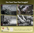 65 Inch Plant Stand With Grow Light  9 Tiered Indoor Plant Shelf With Larger Flo