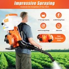 7500r min Backpack Fogger Agricultural Gas Sprayer Mosquito Blower Insecticide